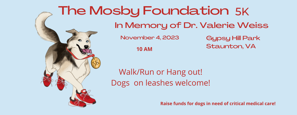 The Mosby Foundation 5k