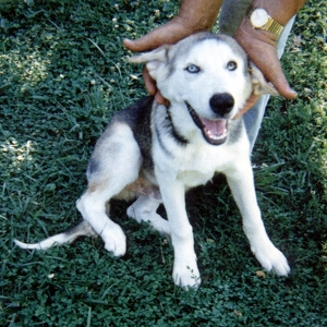 Fundraising Page: Caitlyn Starcher