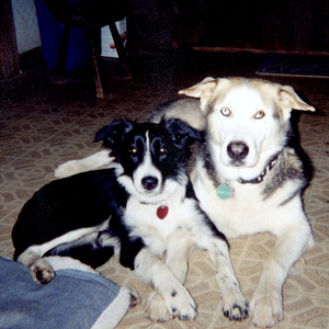 Team Page: Reeder/AHW